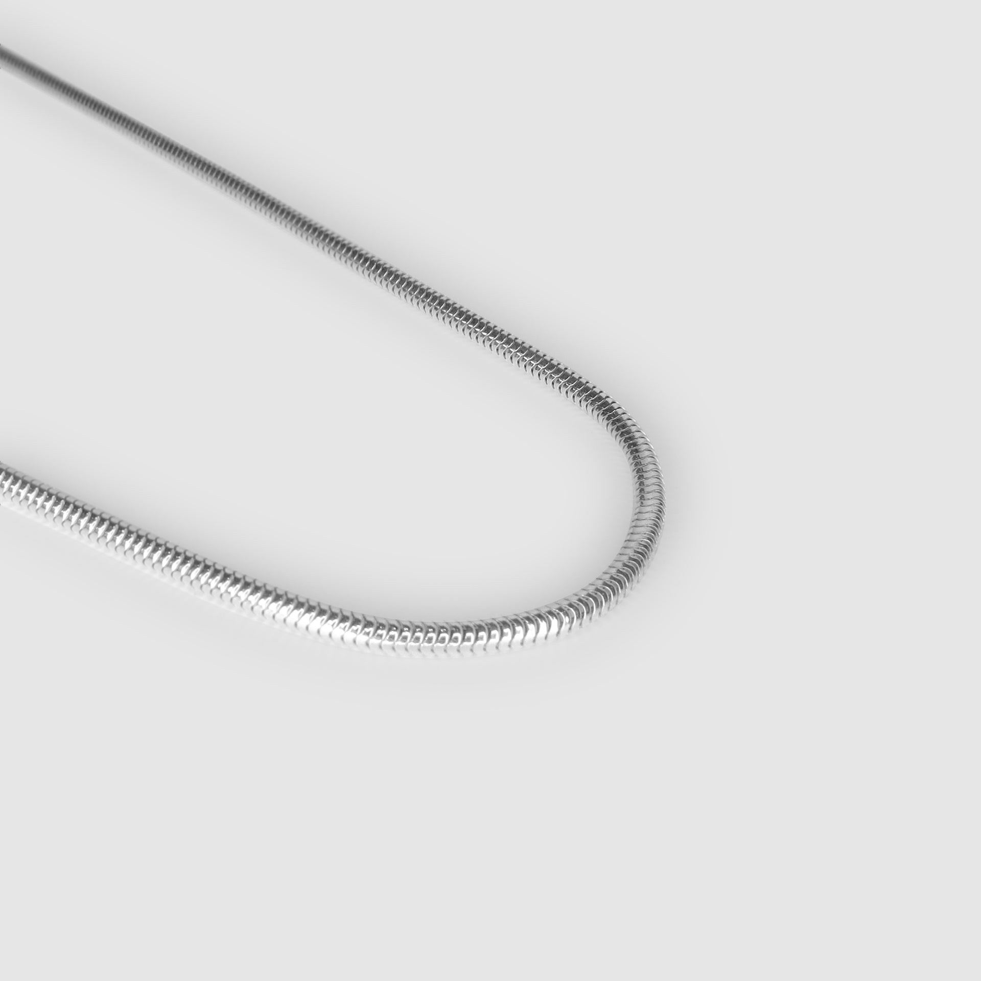 Silver Snake Necklace